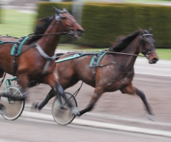 Quality Questioned 160128-2